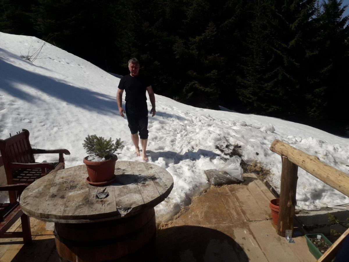 Kuca Za Odmor "Djurovic" Leilighet Kopaonik Eksteriør bilde