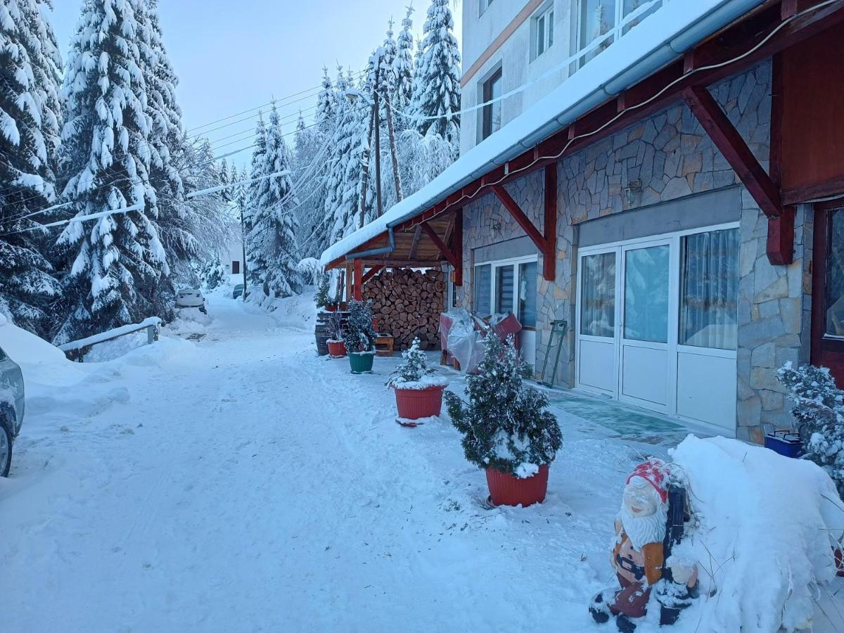 Kuca Za Odmor "Djurovic" Leilighet Kopaonik Eksteriør bilde