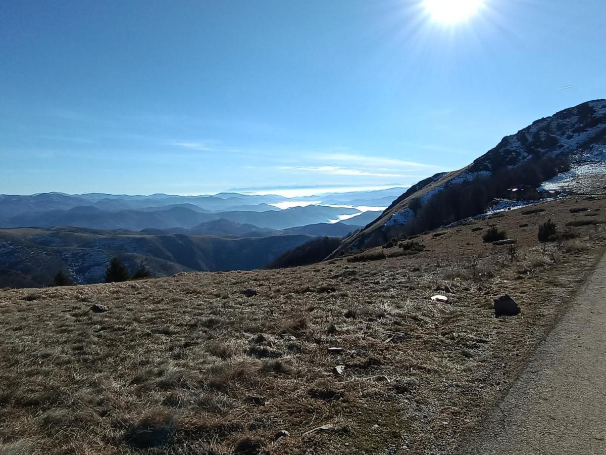 Kuca Za Odmor "Djurovic" Leilighet Kopaonik Eksteriør bilde