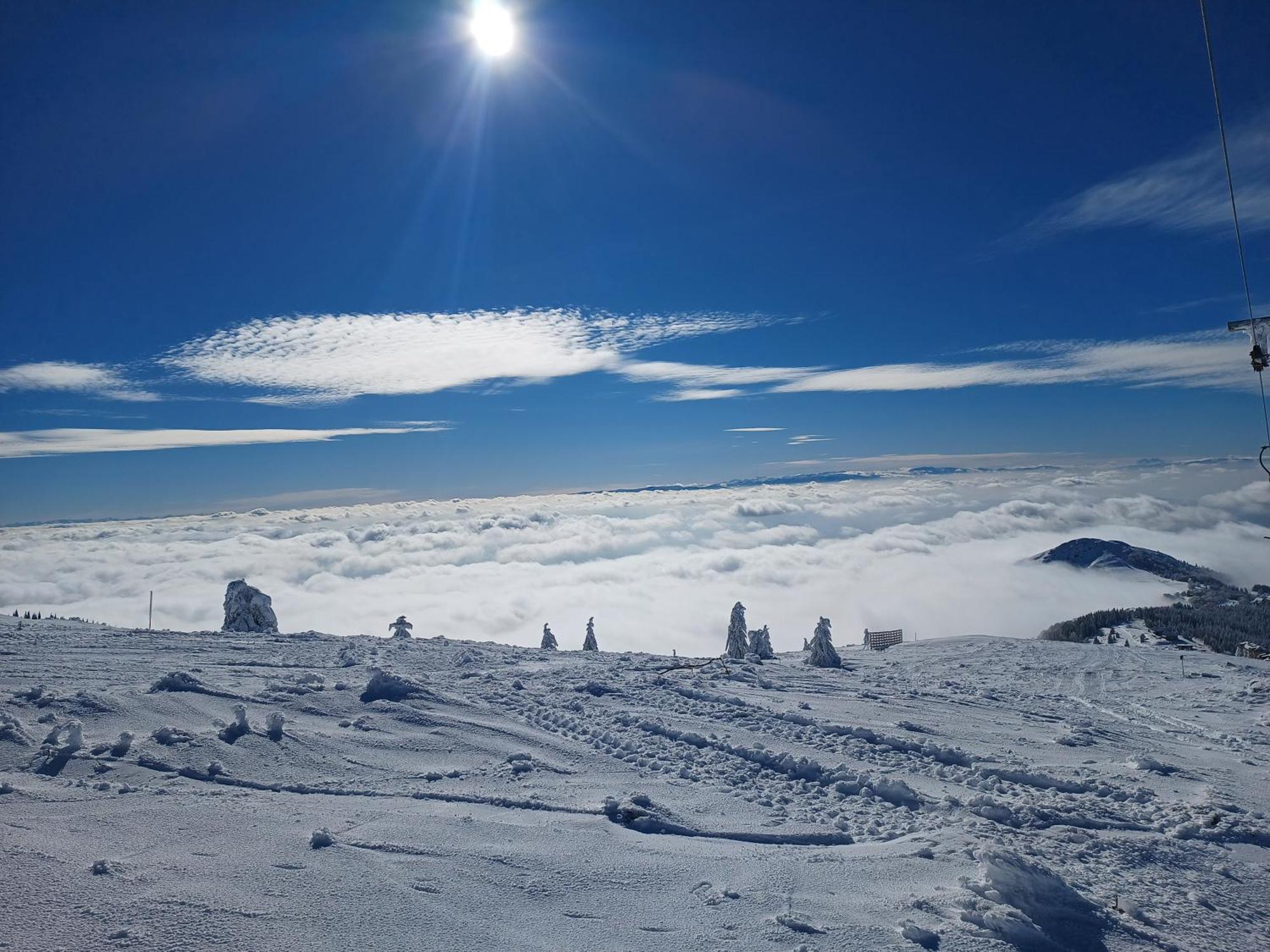 Kuca Za Odmor "Djurovic" Leilighet Kopaonik Rom bilde