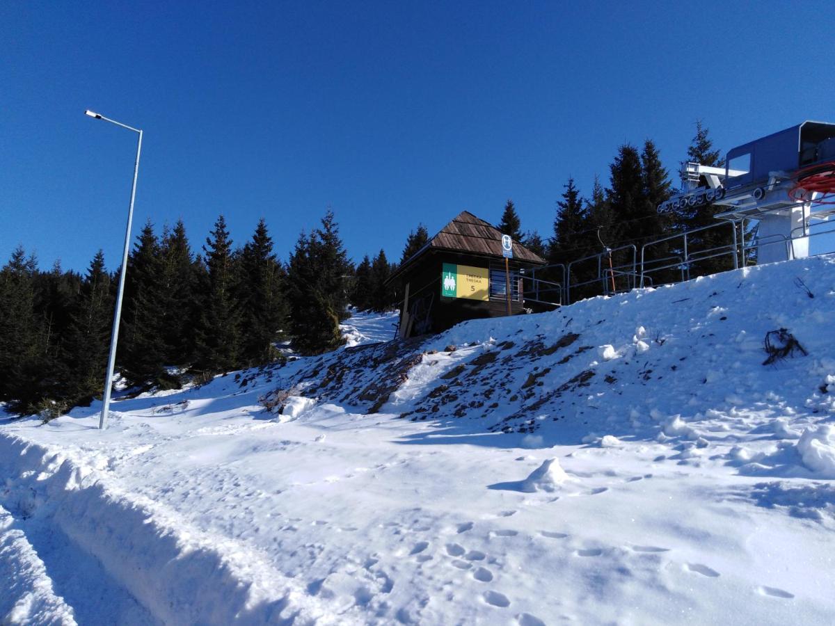 Kuca Za Odmor "Djurovic" Leilighet Kopaonik Eksteriør bilde